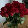 dleki.xam
