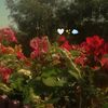 sanaa.obeid3