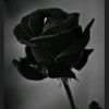 user1703151432068