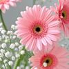 houda.tlili20