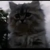 ٭:سَـارة||𐙚𝐒𝐚𝐫𝐚