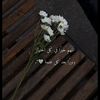 ben_naseeb