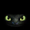 toothless2357