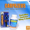 CARPAZEUS SOLUSI PERSENDIAN