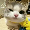 zara_crafts4
