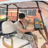 vistavehiclegolfcart