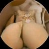 ryan.ramon.arella0