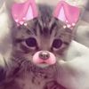 444_livyy