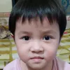 bdinh82