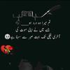 muhammad.shoaib0301