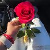 anton.guerrero89