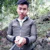 t.bng10