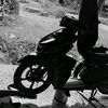 miyanz7