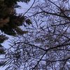 demian_hersait_1