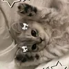 polina_123400o
