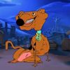 scoobydoobydoocursed
