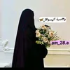 am_28.a