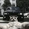 bmw.m5.w90.kampiy