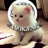 w_takroni333