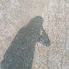 althaqueen6