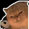 hazzz11107