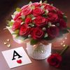ahmedessa8836