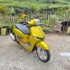 mala.yellow189