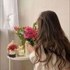 daniamahmoud36