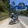 vinnoss_
