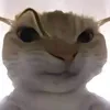 anhvinhdepchai