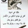 user14735517255661