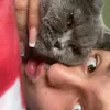 itisela
