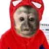 presente_misterio5