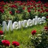 mercedes.barrios434