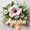 aisha.said00