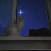 howis_39