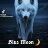 blue_moon853