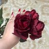 djellouli27
