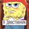 🤑palaskyn1488🤑_👩🏿‍🦲🐗👴🏿