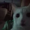 lenchiks26