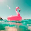 summer.iscominggg