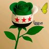 shadia9183