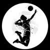 sahukingofvollyball