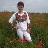 user8396763261230