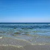josi_pch