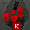 kevi.kevi12