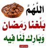 user3549017261556