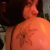 cytellen4