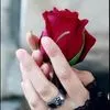 sarah.al.amer