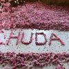huda84515